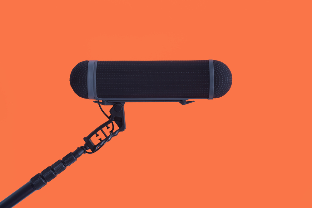 Boom microphone