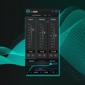 dxSplit: Separate Voice Reverb and Noise