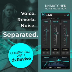 dxSplit: Separate Voice Reverb and Noise