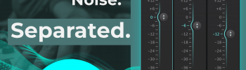 dxSplit: Separate Voice Reverb and Noise